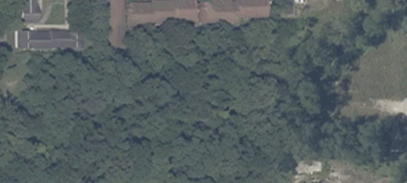 Thornton Dr