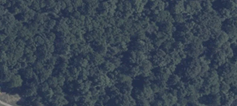 Augusta Dr