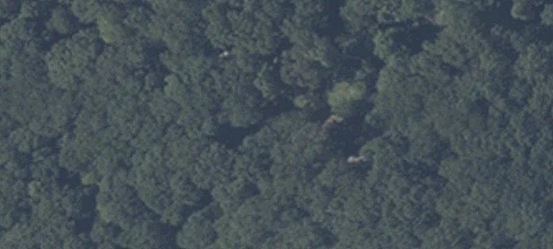 8295 State Rd 234