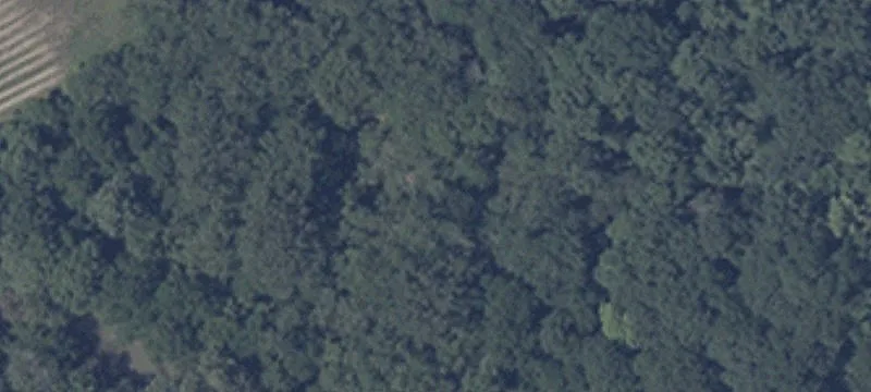 9195 Btm Rd