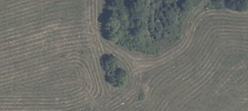 Little Chicago Rd