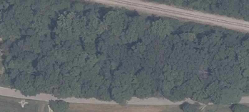 Tulip Rd