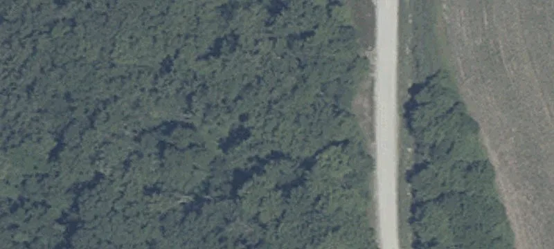 4655 State Rd 10