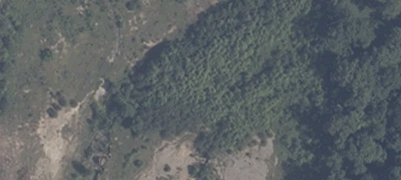 State Rd 56