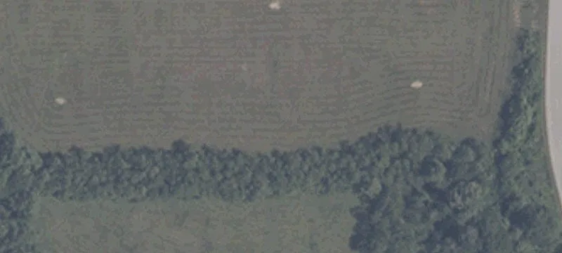 State Rd 56