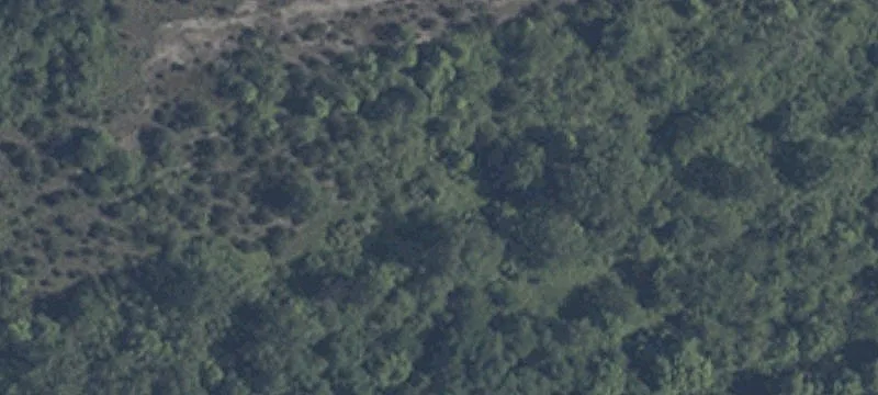 2001 Hawkins Rd