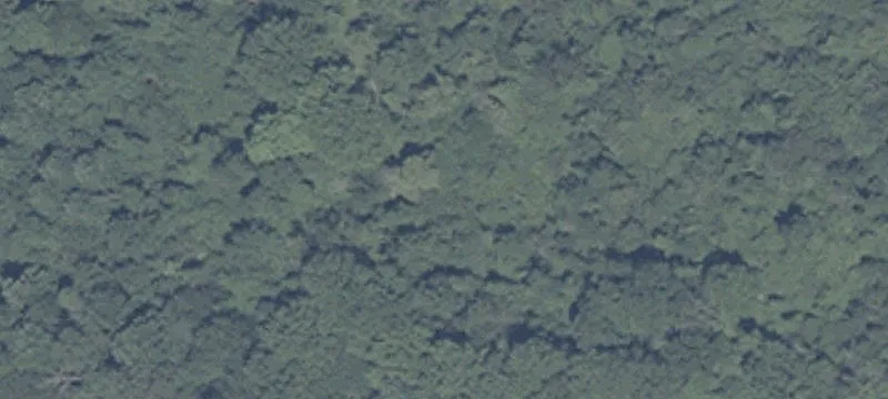 17239 16th Rd