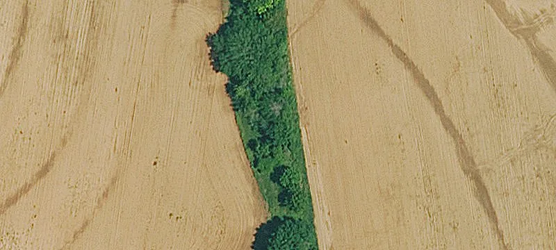11940 292nd Rd