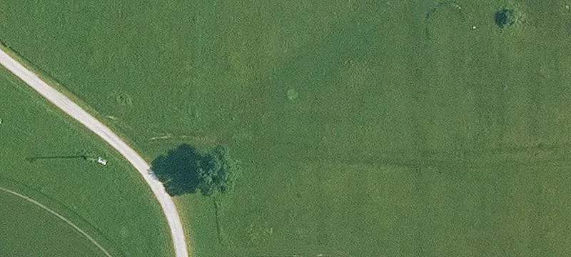 1439 Hwy 59