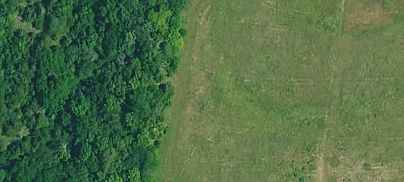 11909 282Nd Rd