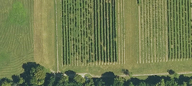 Overland Park, KS 66085