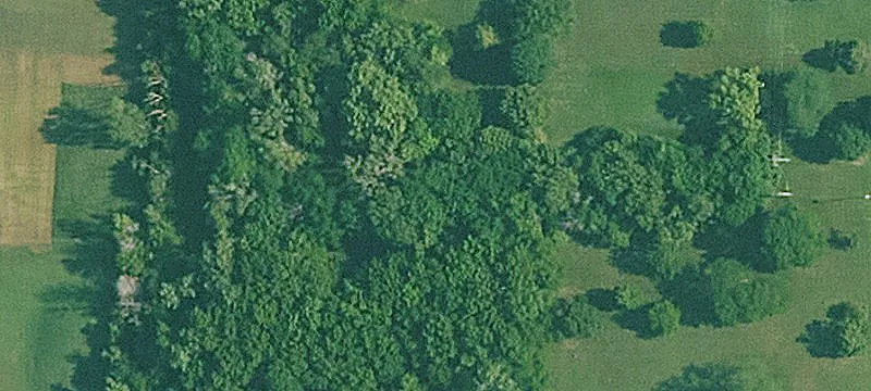 Spencer Rd