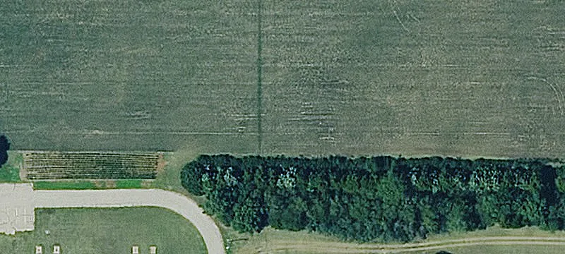 Wasp Rd