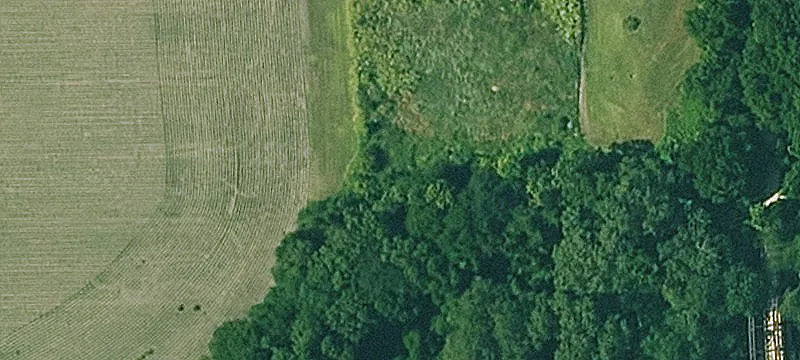 Rt 1st 1