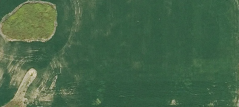 930 Jesuit Ln
