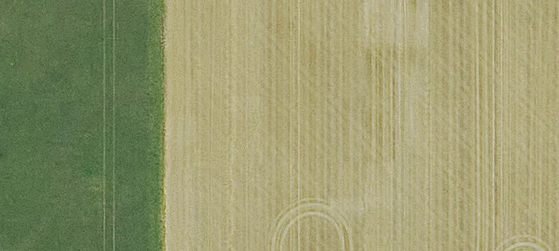 6200 Cr