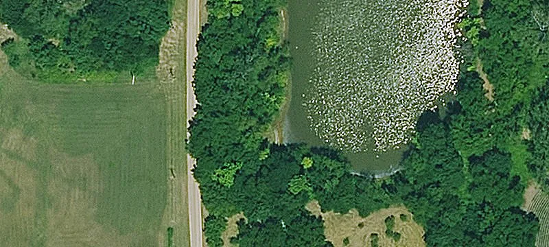 Mulberry St