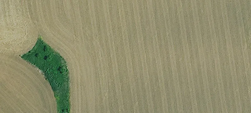Sunflower Rd