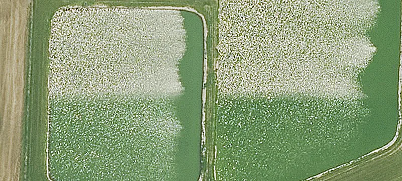 Farlington, KS 66734