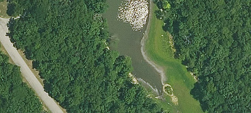 Ss Lk Rd