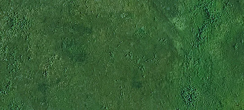 10096 Us Hwy 50