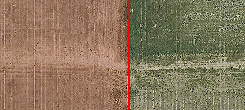 Rd 230