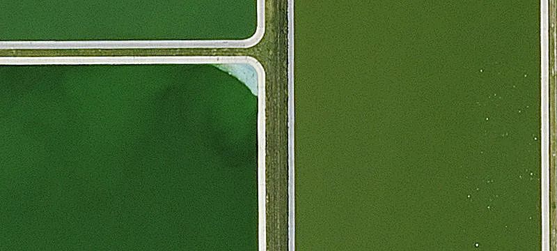 Us 83