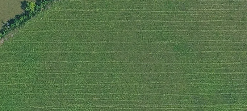 1000 Rd Rd Wy2