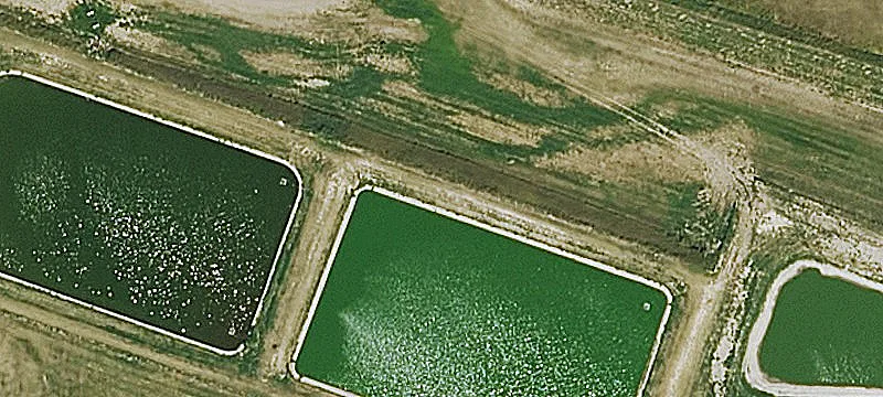 Hwy 184