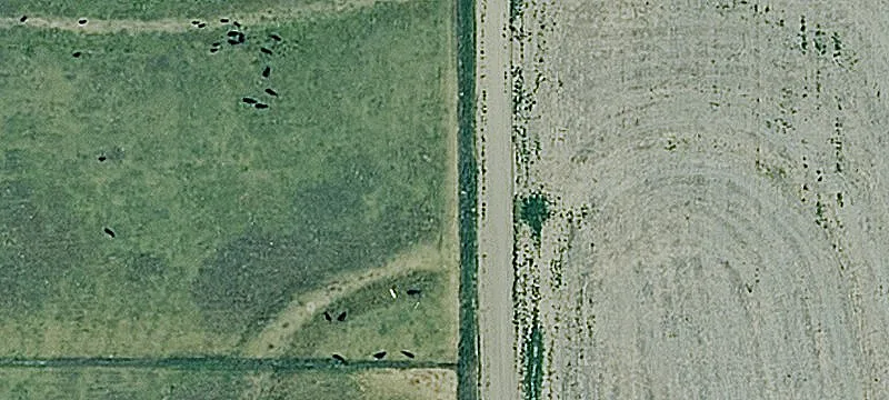 Hwy 96