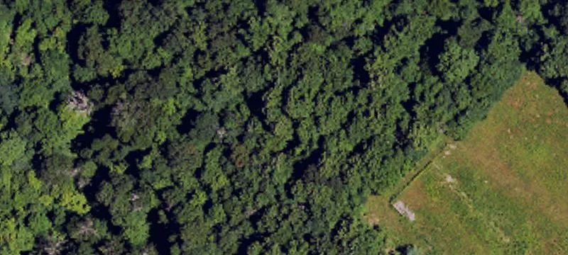 3240 Elk Cave Br Rd