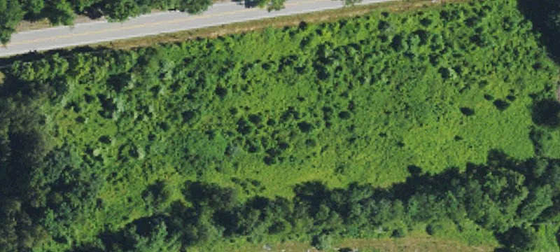 Tyner, KY 40486