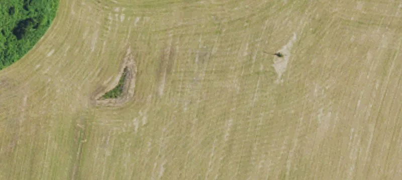 Annville, KY 40402