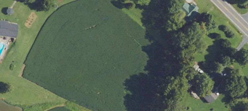 7094 Us Hwy 231