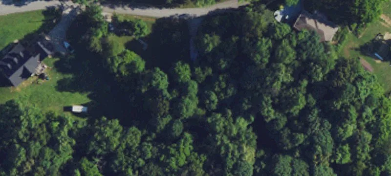 286 Henderlight Dr