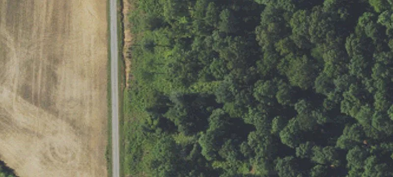 Buck Knob Ln