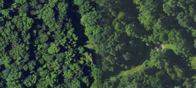 Cedar Grv Rd