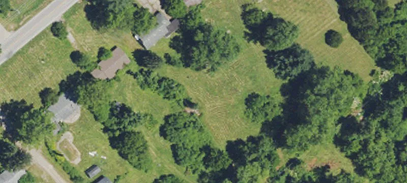 3339 Mineola Pike