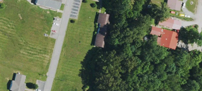 830 Palmetto Loop