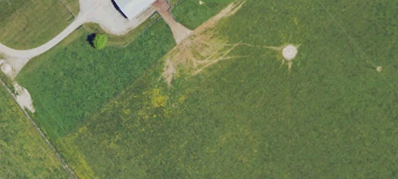 650 Texas School Rd
