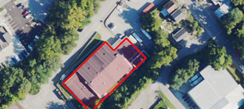 Tiger Ln