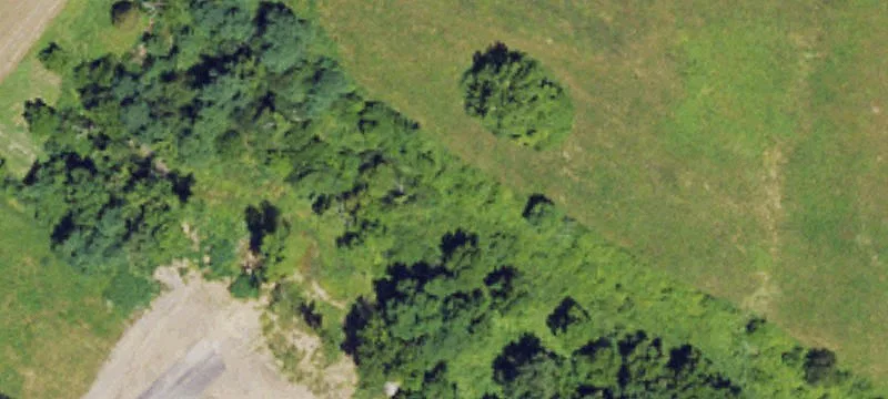 Old Lexington Pike
