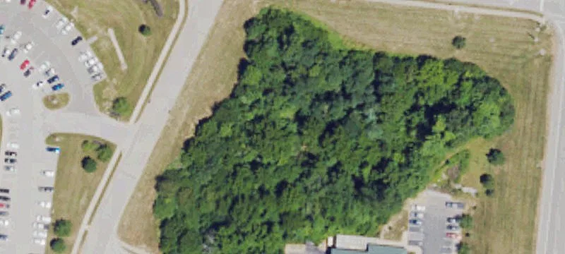 Limaburg Rd