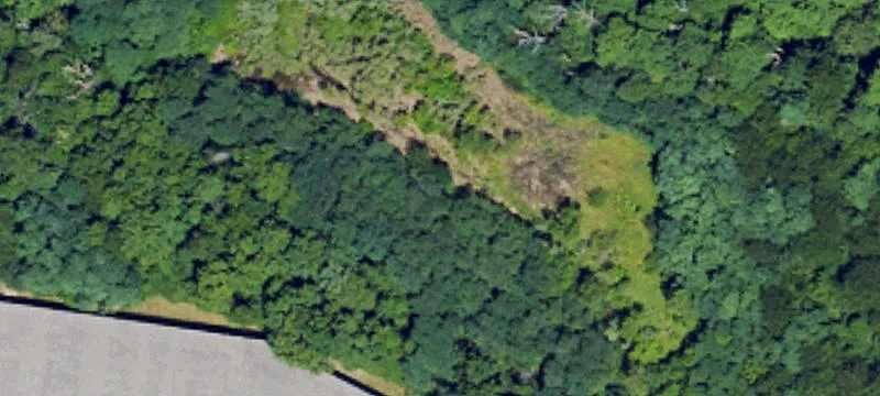 Petersburg Rd