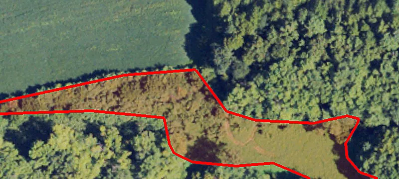 Nagel Rd