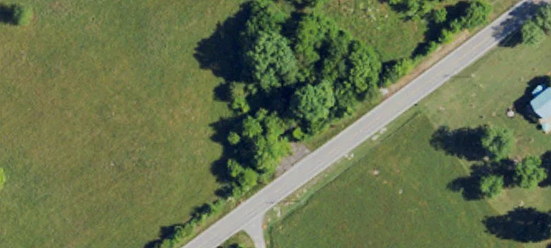 Leitchfield Rd