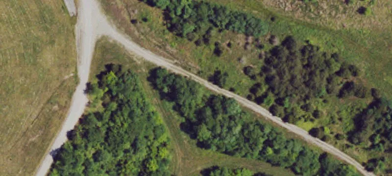 264 Dixie Bnd Rd