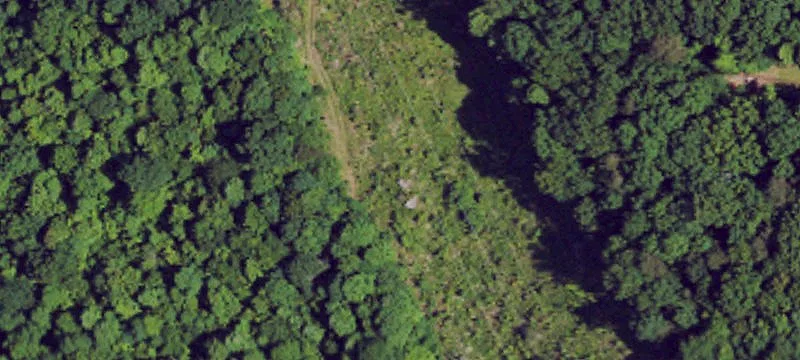 Coal Bank Rd