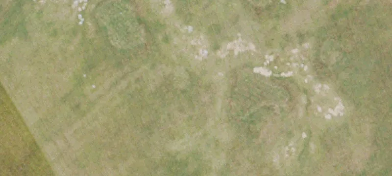 6033 Hwy 146