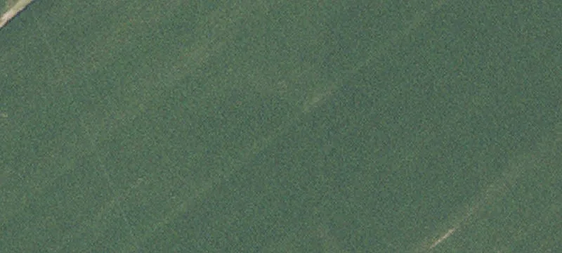 1555 State Rte 2838